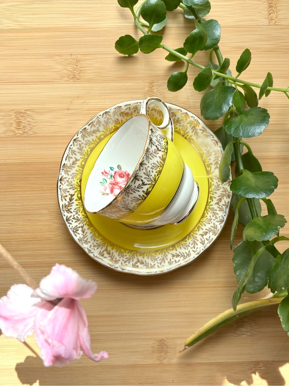 Yellow Vintage Royal Stafford Bone China Teacup & Saucer Set with Gold Trim